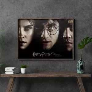 خرید تابلو عکس هری پاتر Harry Potter - کارماتوس (انواع قاب عکس و پوستر, قاب عکس) از کرماتوس