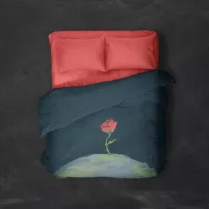 روتختی طرح شاهزاده کوچولو The Little Prince