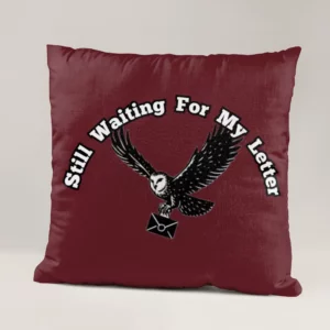 خرید خرید و قیمت کوسن طرح هری پاتر Harry Potter - کارماتوس (دکوراسیون, کوسن, کوسن فیلم و سریال) از کرماتوس